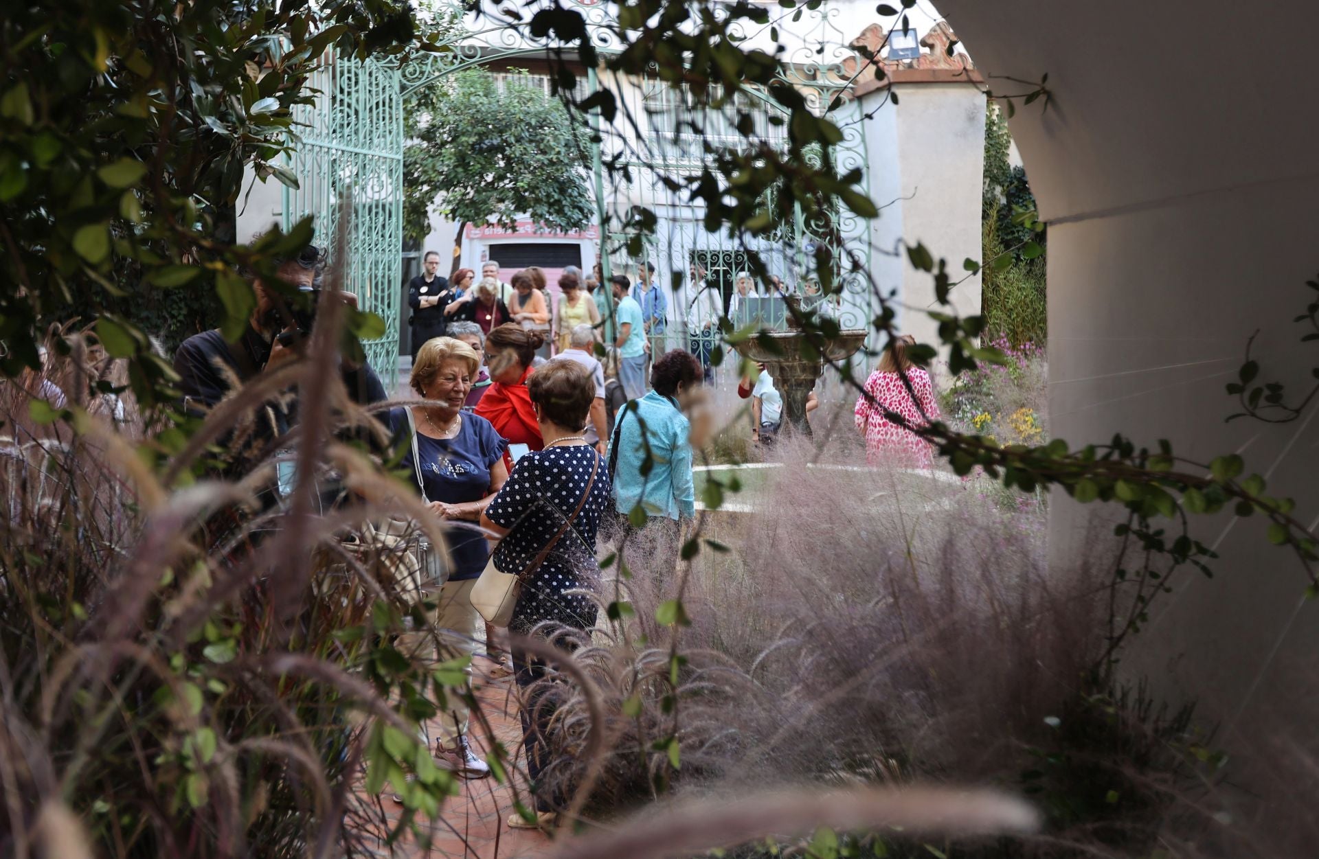 Las multitudinarias visitas a los patios de Flora en Córdoba, en imágenes