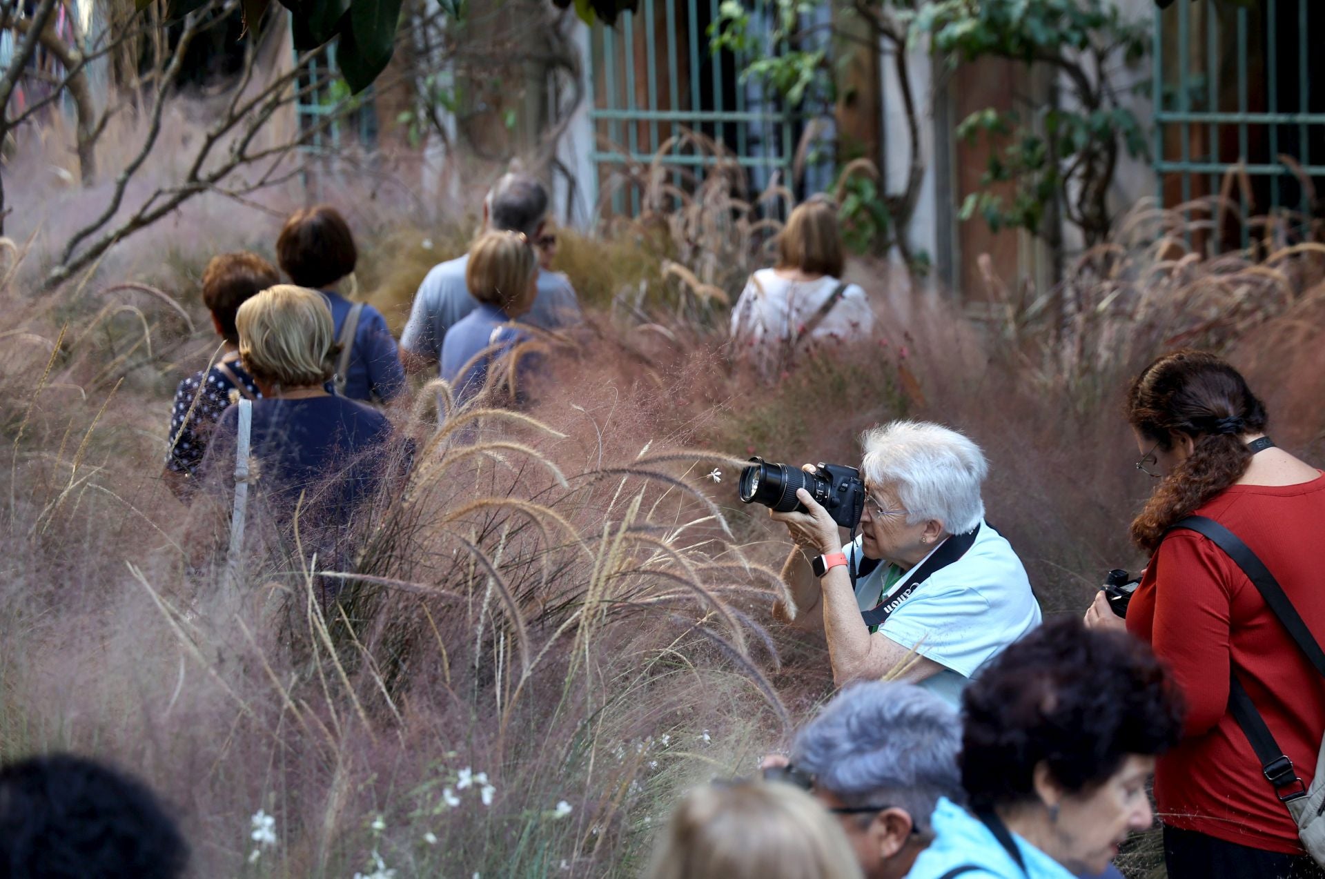 Las multitudinarias visitas a los patios de Flora en Córdoba, en imágenes