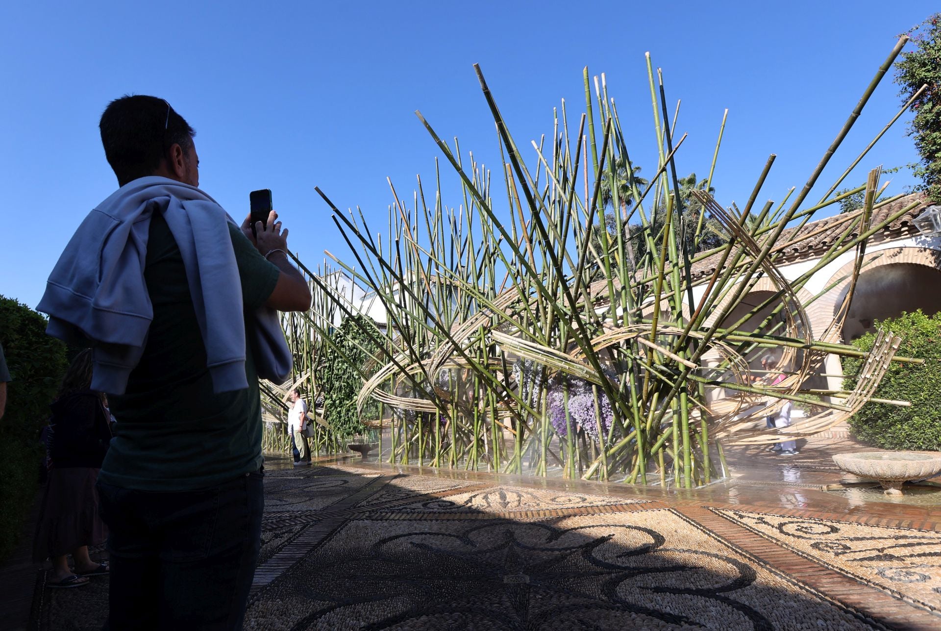 Las multitudinarias visitas a los patios de Flora en Córdoba, en imágenes