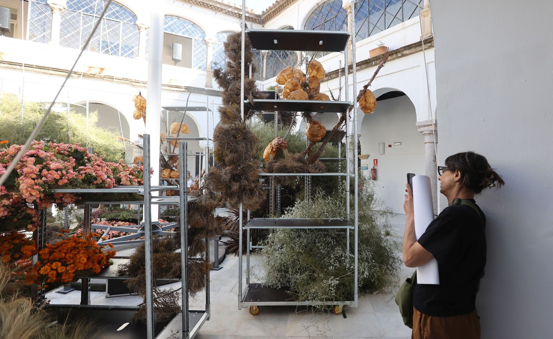 Las multitudinarias visitas a los patios de Flora en Córdoba, en imágenes