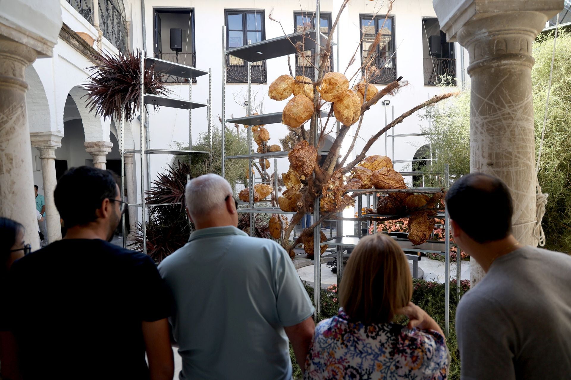 Las multitudinarias visitas a los patios de Flora en Córdoba, en imágenes