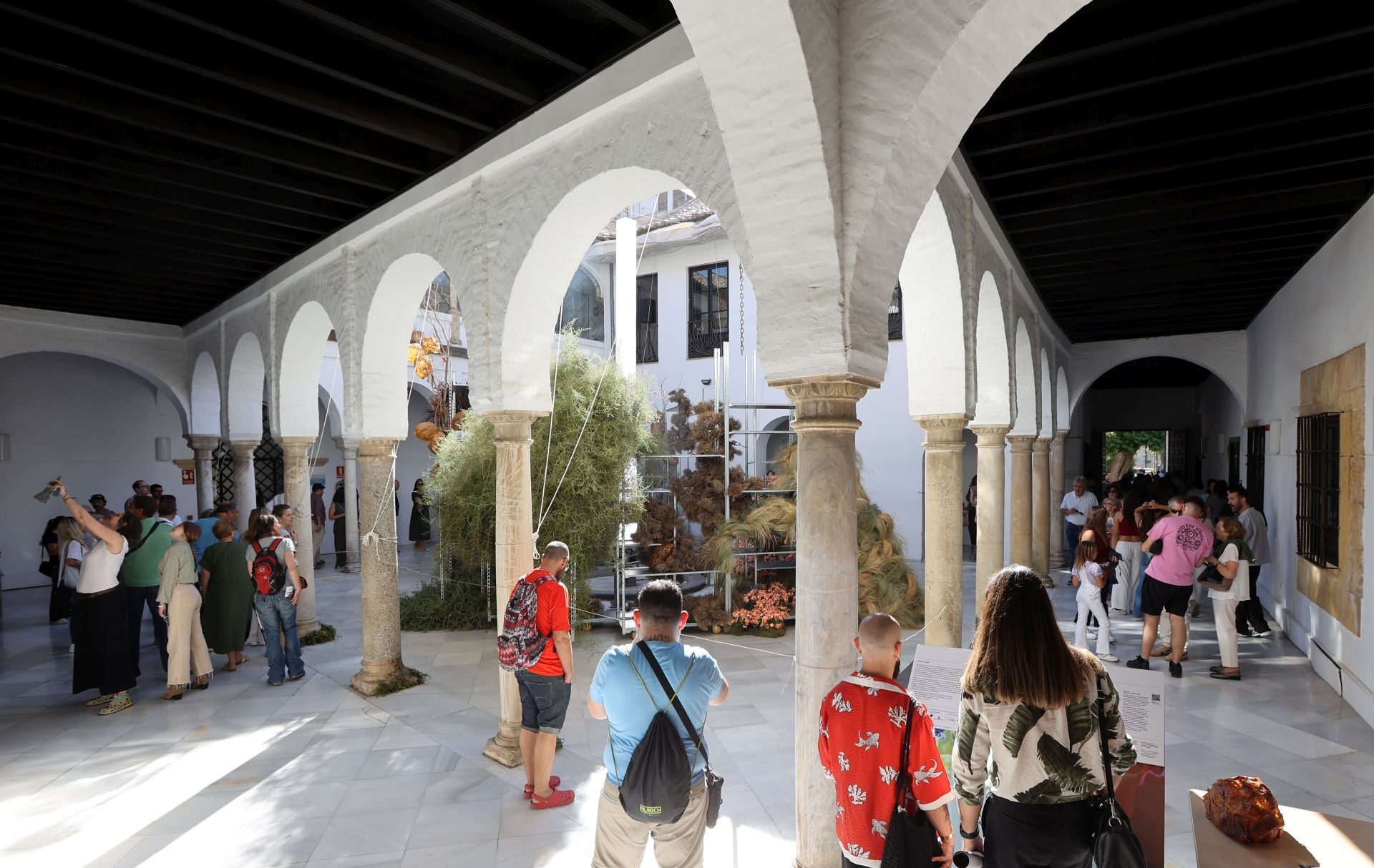 Las multitudinarias visitas a los patios de Flora en Córdoba, en imágenes