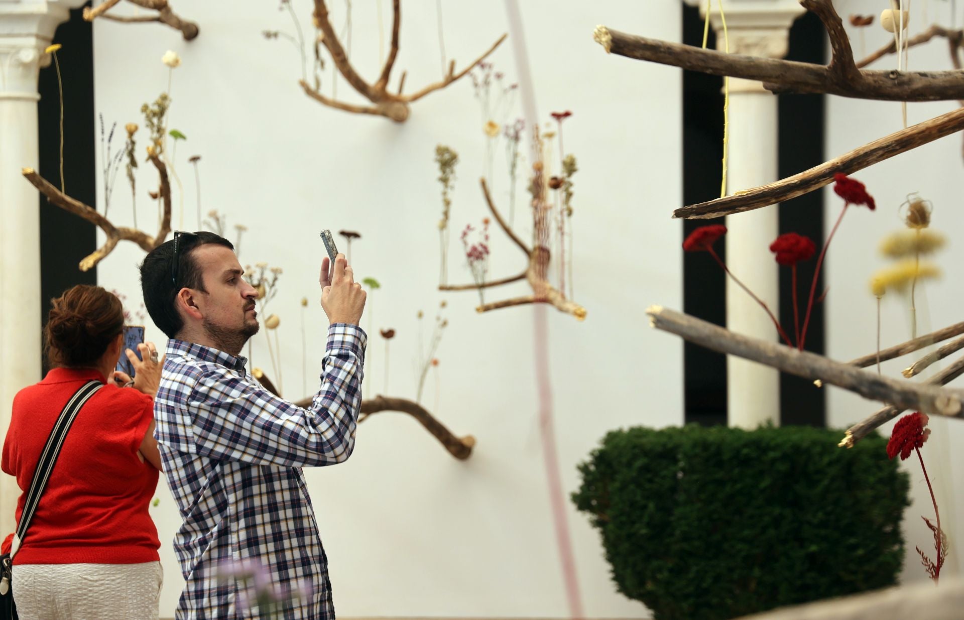 Las multitudinarias visitas a los patios de Flora en Córdoba, en imágenes