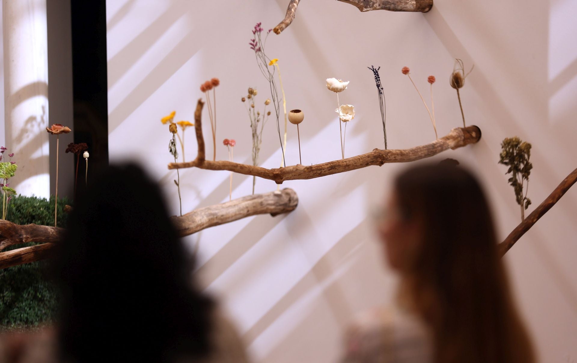 Las multitudinarias visitas a los patios de Flora en Córdoba, en imágenes