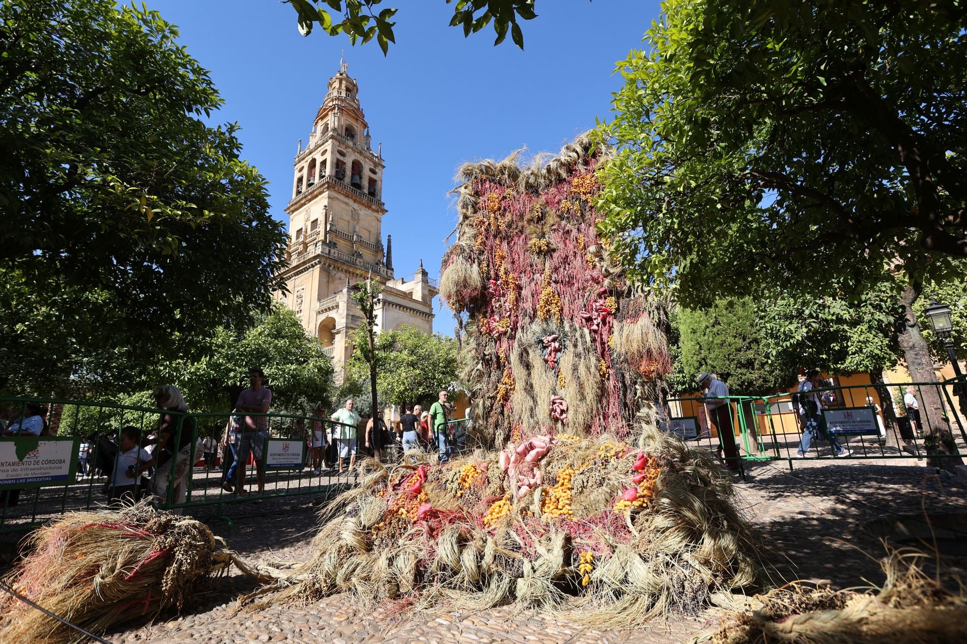 Las multitudinarias visitas a los patios de Flora en Córdoba, en imágenes