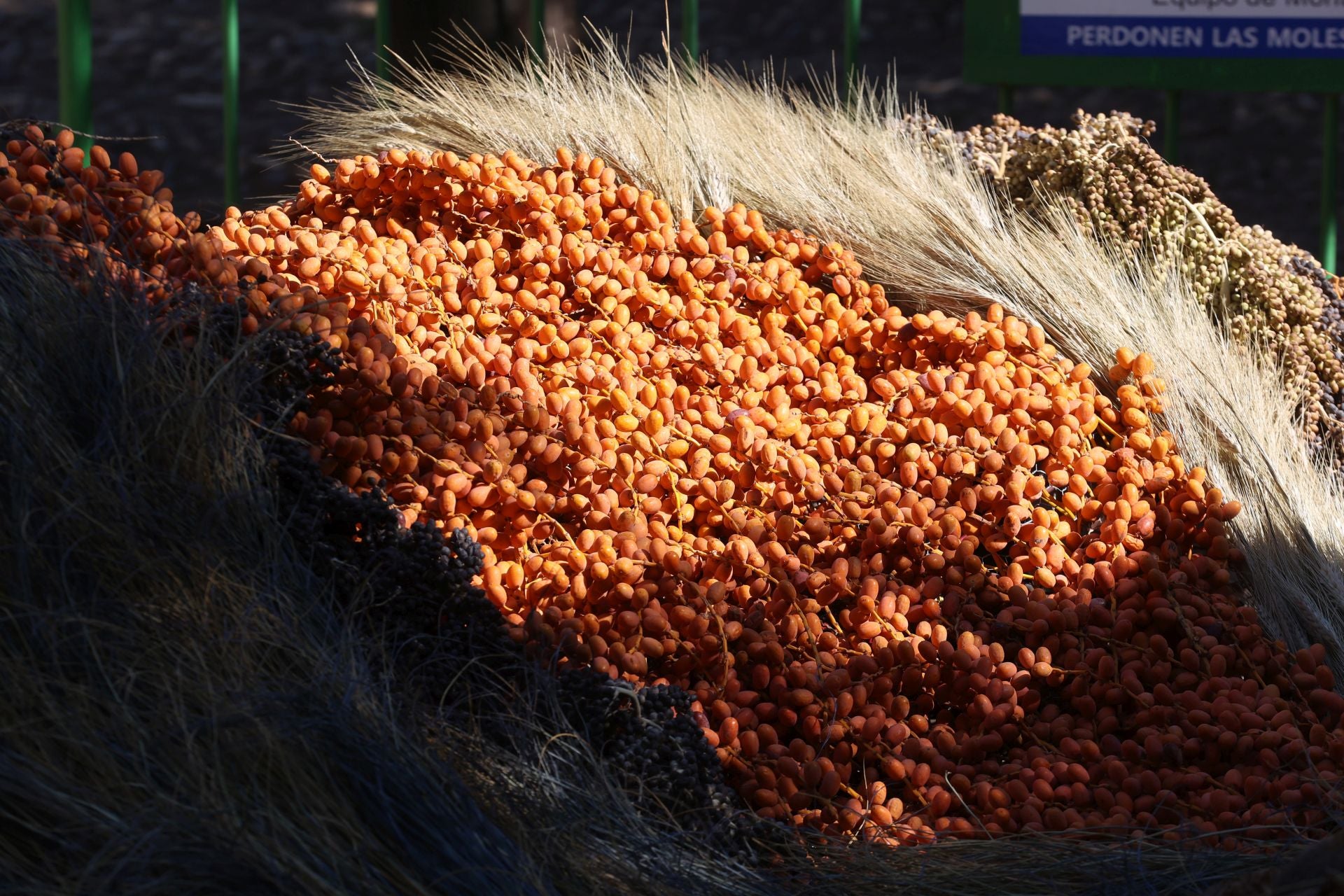 Las multitudinarias visitas a los patios de Flora en Córdoba, en imágenes