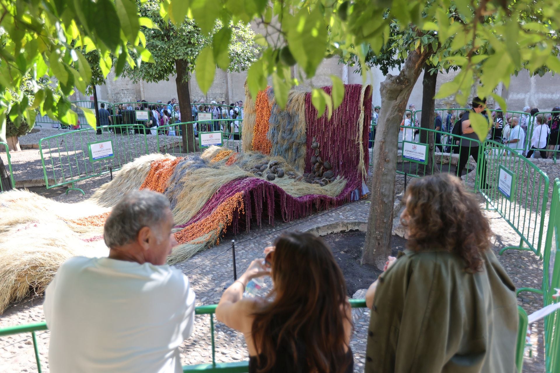 Las multitudinarias visitas a los patios de Flora en Córdoba, en imágenes