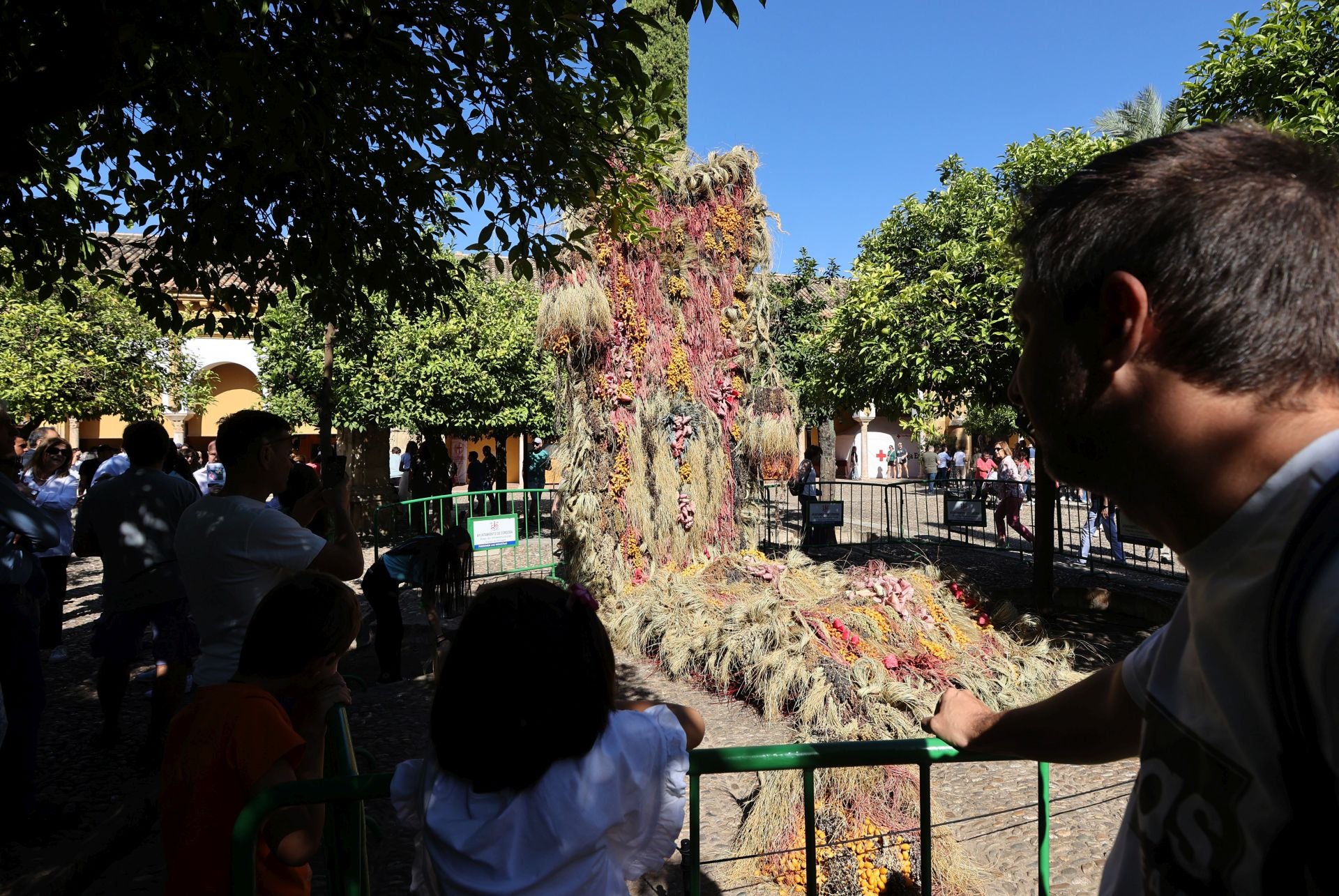 Las multitudinarias visitas a los patios de Flora en Córdoba, en imágenes