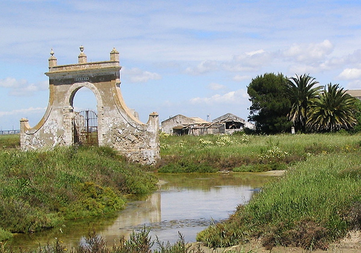 Ventorrillo Dolores en Cádiz