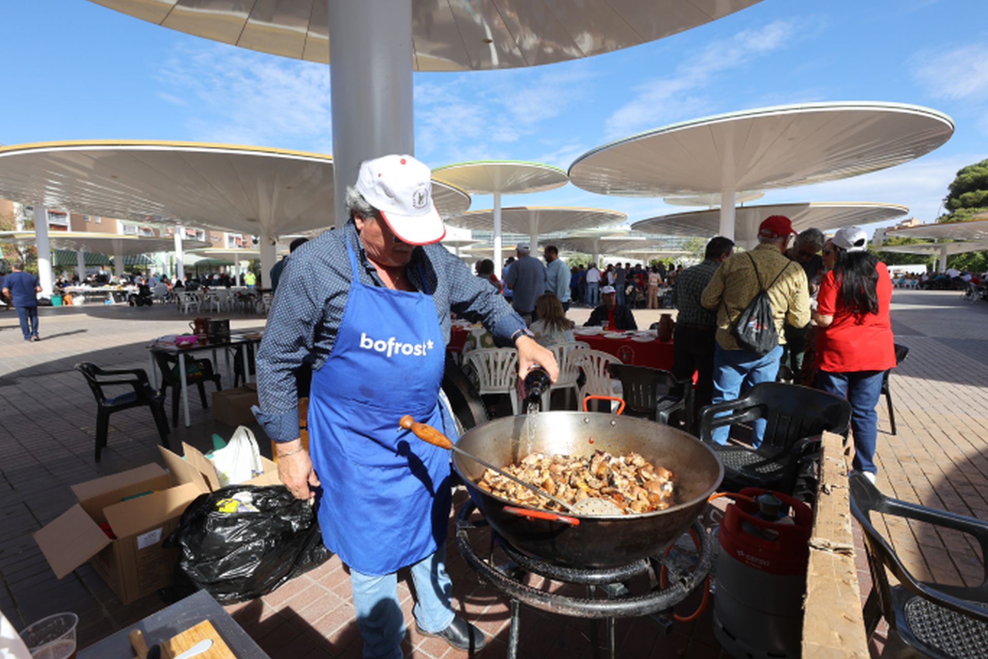 La animada jornada de convivencia de las peñas cordobesas, en imágenes
