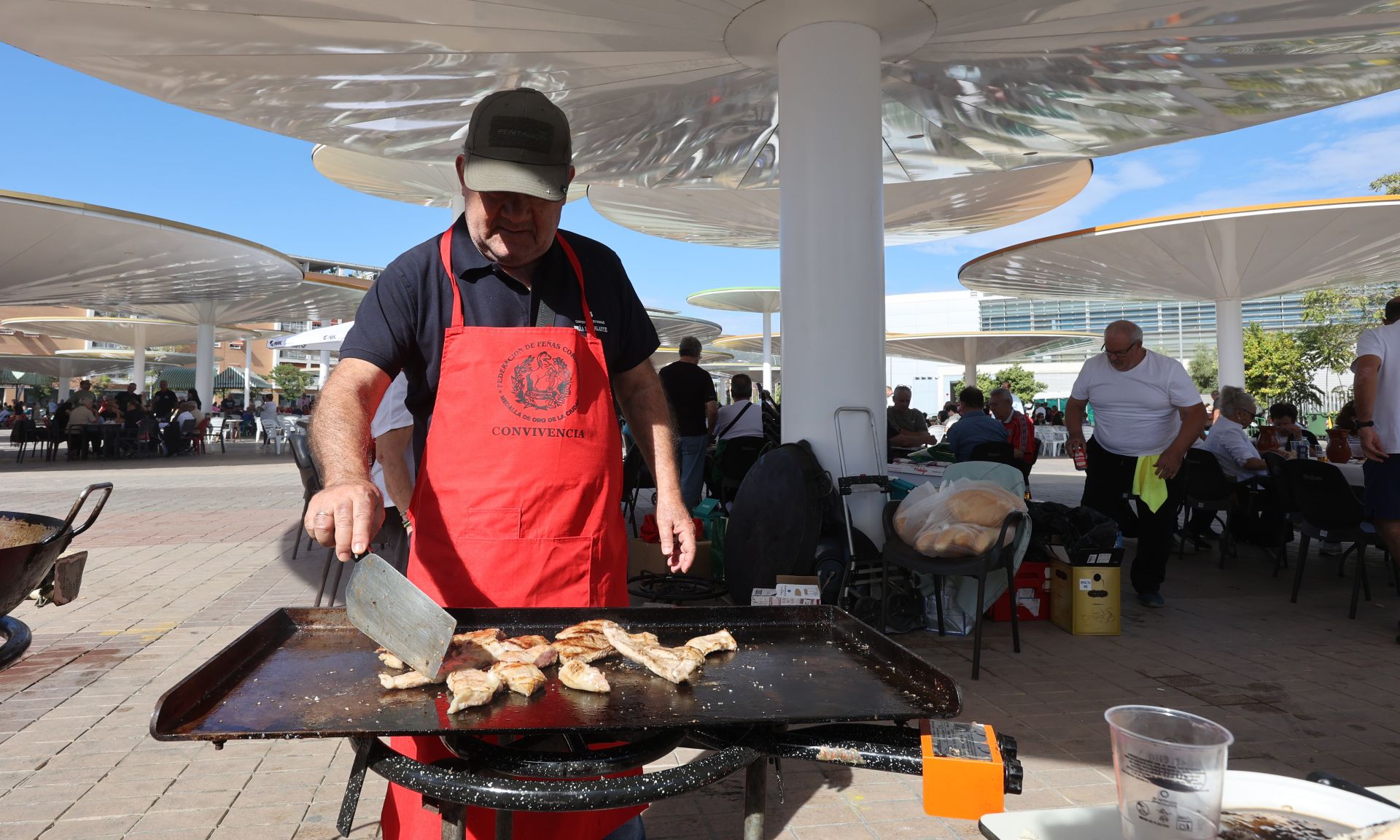 La animada jornada de convivencia de las peñas cordobesas, en imágenes