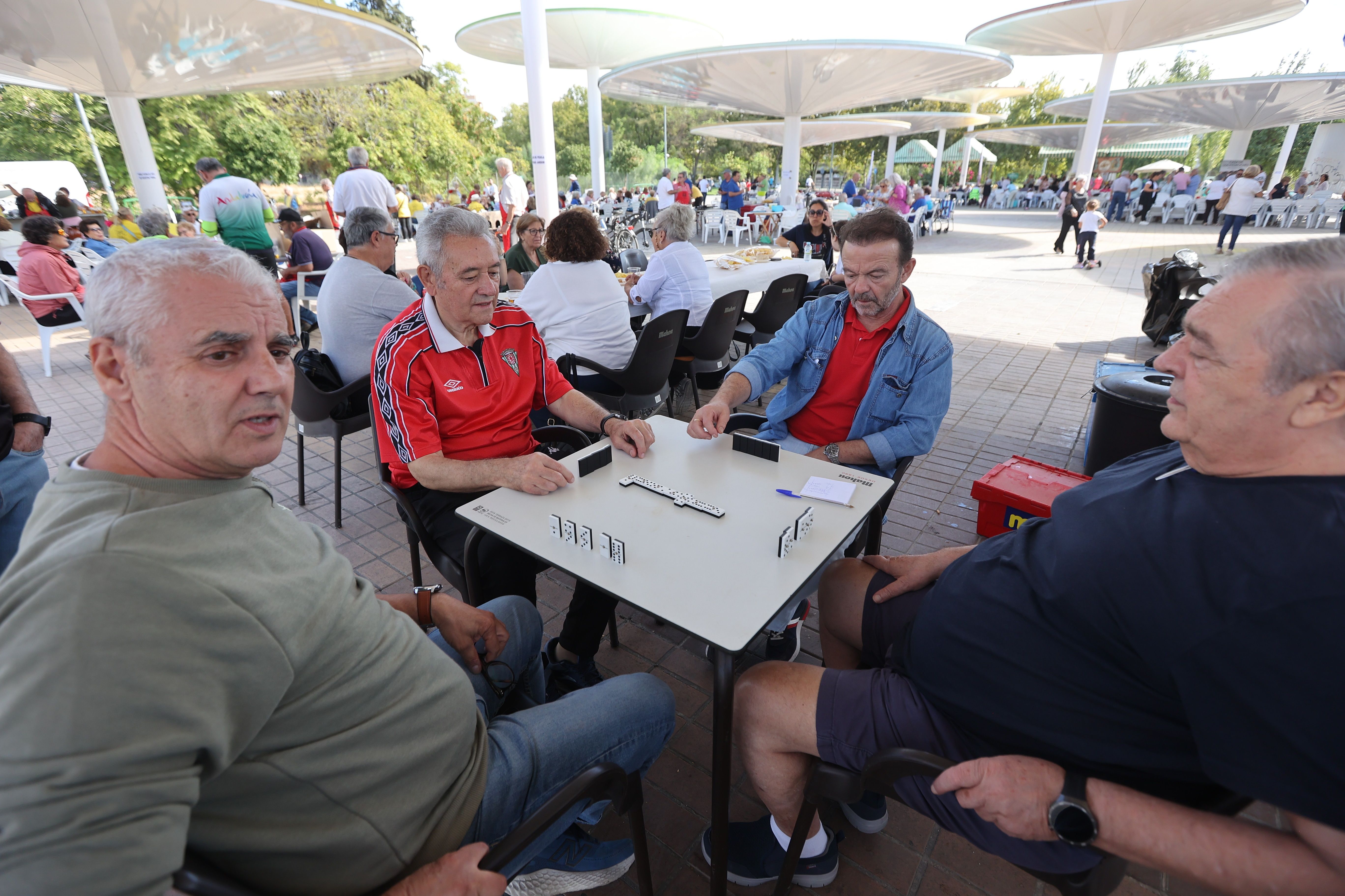 La animada jornada de convivencia de las peñas cordobesas, en imágenes