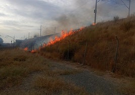 Restablecida la circulación de la línea Madrid-Andalucía con parada en Córdoba por un incendio junto a las vías