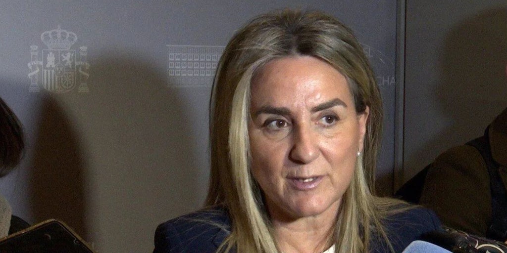 Tolón sobre el supuesto espionaje a Page: «No me consta que ningún subdelegado haya investigado a nadie»