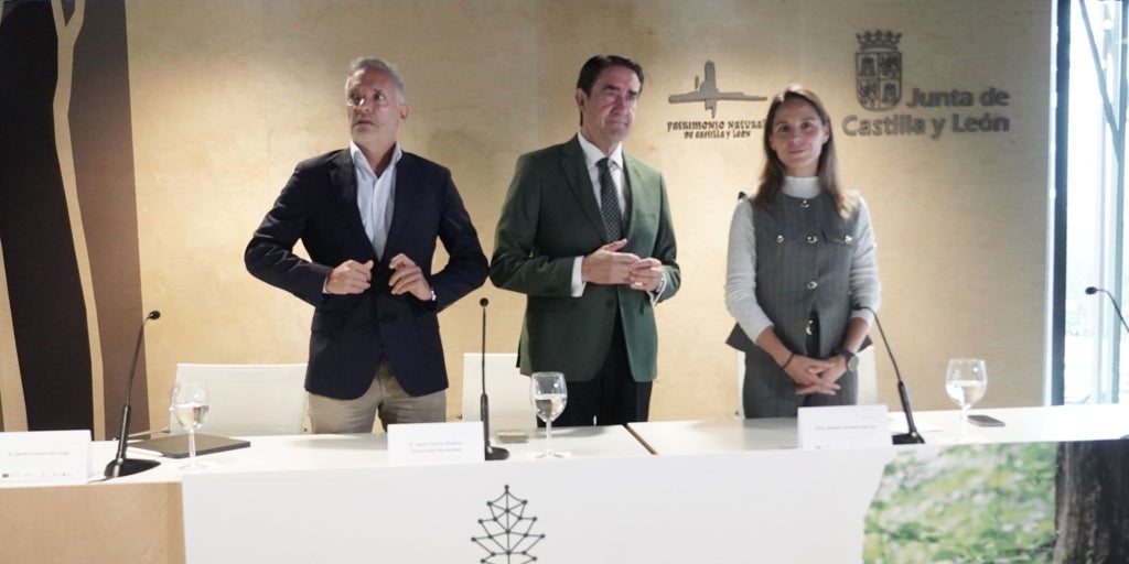 El proyecto RetechFOR destina 28,45 millones a la creación de un sistema avanzado de monitoreo digital forestal para prevenir incendios, basado en IA