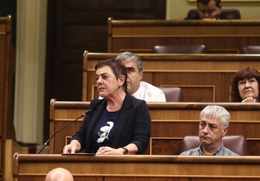 Bildu hace bandera de la memoria, Sánchez calla y el PP estalla: «¡Qué asco!»