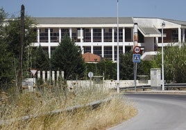 El PSOE reclama un cementerio de mascotas en Córdoba en las instalaciones de la Fuensanta