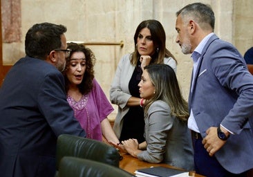 Debate sobre sanidad: Sanz frente a todos y todos contra Juanma