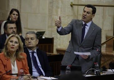 Juanma Moreno: «He abierto San Telmo a Amama, pero prefieren manifestarse en la puerta»