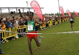 Casi mil atletas participan este domingo en la cuadragésima segunda edición del Cross  de Quintanar de la Orden