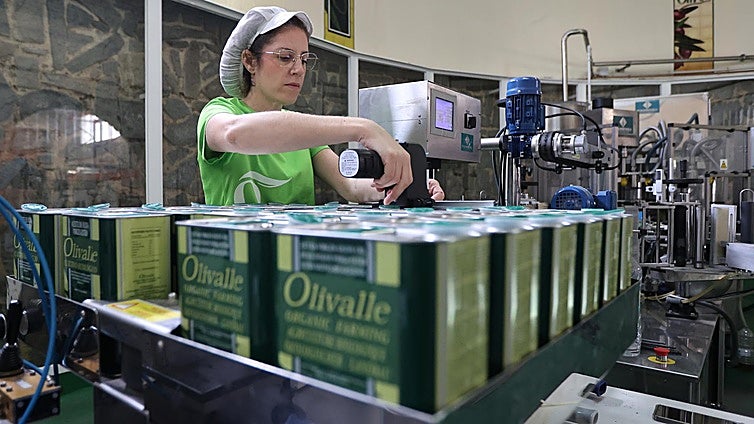 Los Pedroches cosecha éxitos en agricultura y ganadería 'verde'