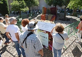 Flora, el Festival Internacional de las Flores de Córdoba, se salda con más de 200.000 visitantes
