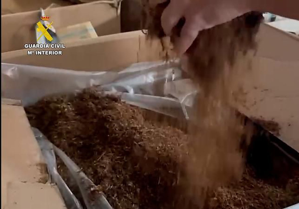 Picadura de tabaco en una imagen de una operación de la Guardia Civil