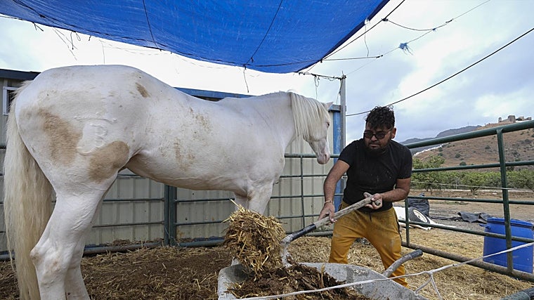 Antonio Carrasco rescató a sus caballos de la riada