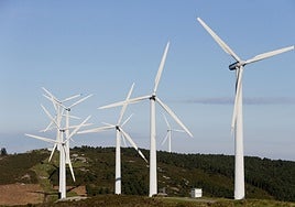 El sector eólico, «estupefacto» por el bloqueo «asfixiante» del TSXG