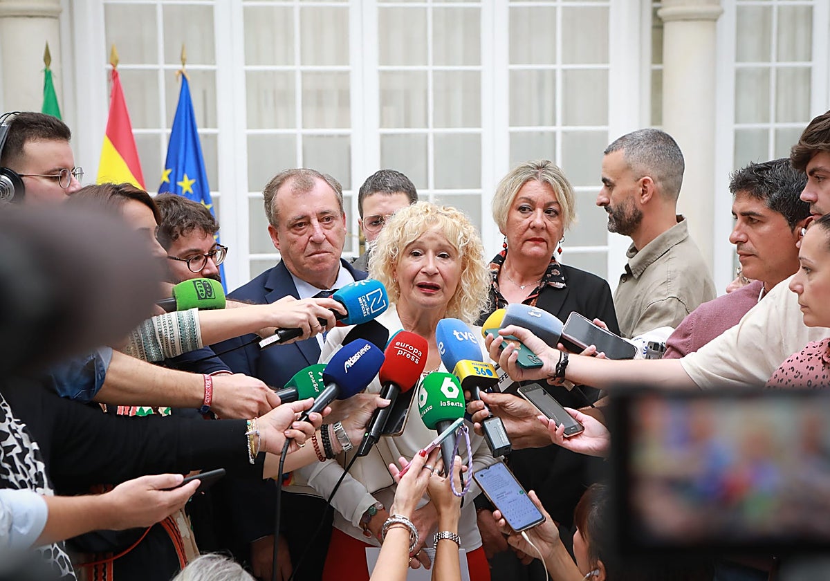 La presidenta de Amama Sevilla, Ángela Claverol, ante los medios