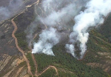 CSIF reclama a la Junta una campaña de extinción de incendios de seis meses en Castilla-La Mancha