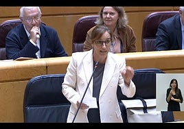 Javier Arenas vapea en el Senado mientras habla la ministra de Sanidad