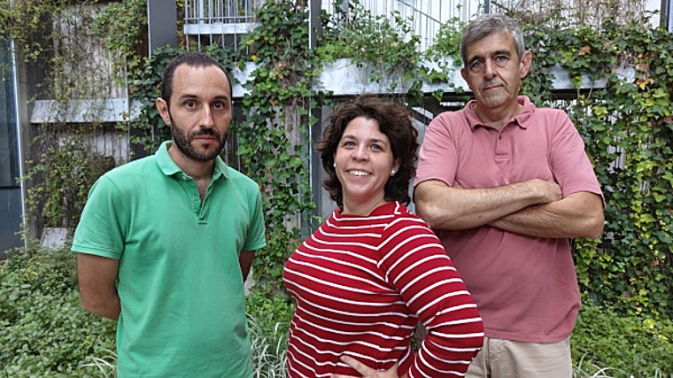 Los tres profesores autores del estudio de la Universitat Jaume I de Castellón