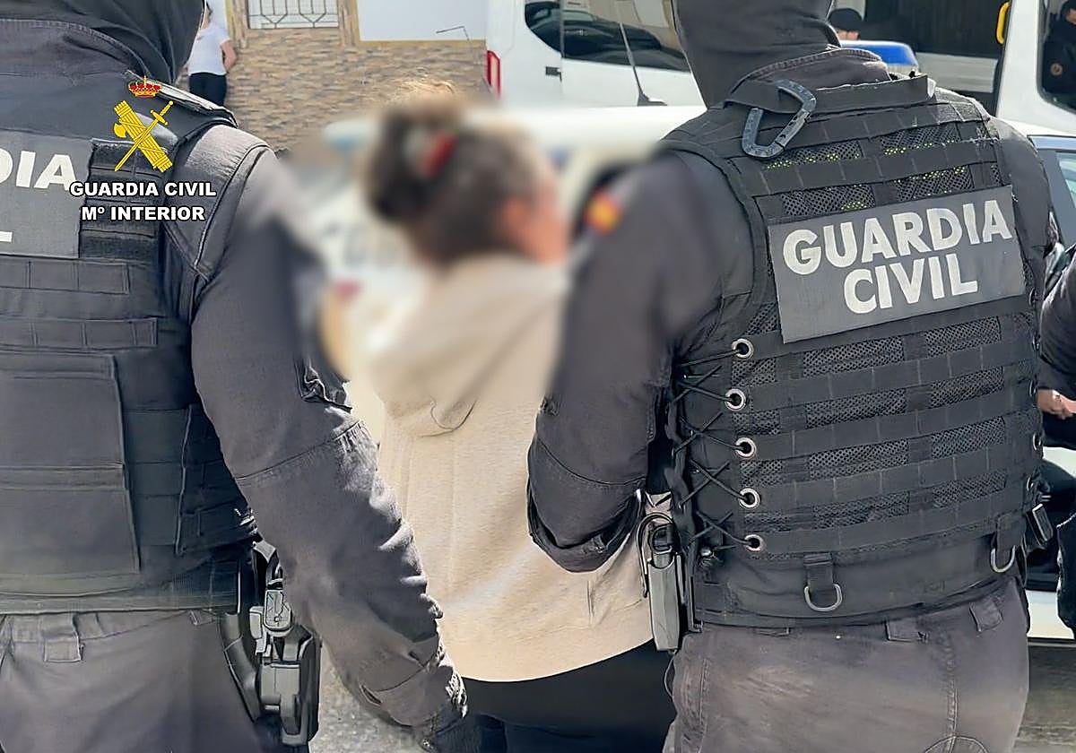 La operación antidroga de Bujalance concluye con más de 300 plantas de marihuana intervenidas y 10 detenidos