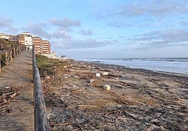 Doñana ya se ve amenazada por la subida del nivel del mar
