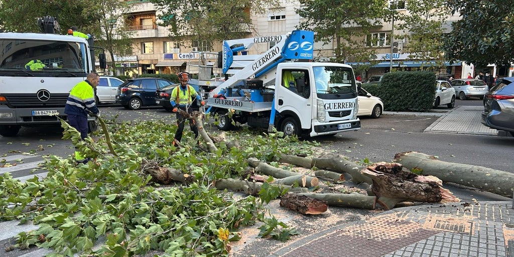 El temporal causa estragos en Extremadura: calles anegadas, clases suspendidas y parques cerrados