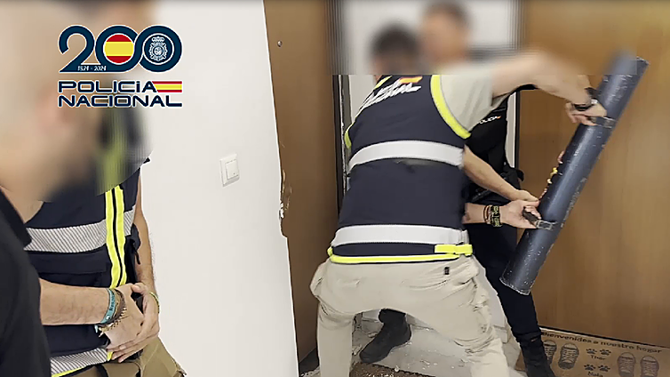 La Policía Nacional desmantela una banda albanesa dedicada al cultivo masivo de marihuana en Alicante