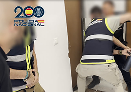 La Policía Nacional desmantela una banda albanesa dedicada al cultivo masivo de marihuana en Alicante