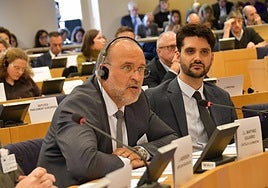 Castilla-La Mancha reivindica en el Parlamento Europeo los Fondos de Cohesión para el medio rural