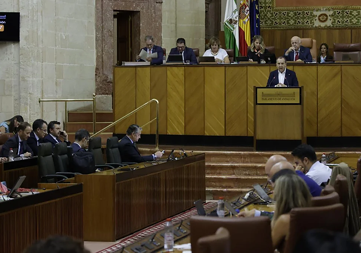 Imagen del Parlamento andaluz durante una sesión
