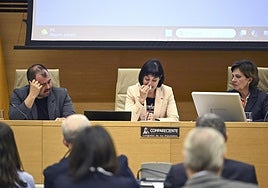 Las víctimas de la dana consiguen el aplauso unánime del Congreso tras dos jornadas de testimonios