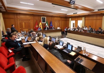 Las bonificaciones fiscales municipales para 2026 prevén dejar en el bolsillo de los cordobeses 15,6 millones