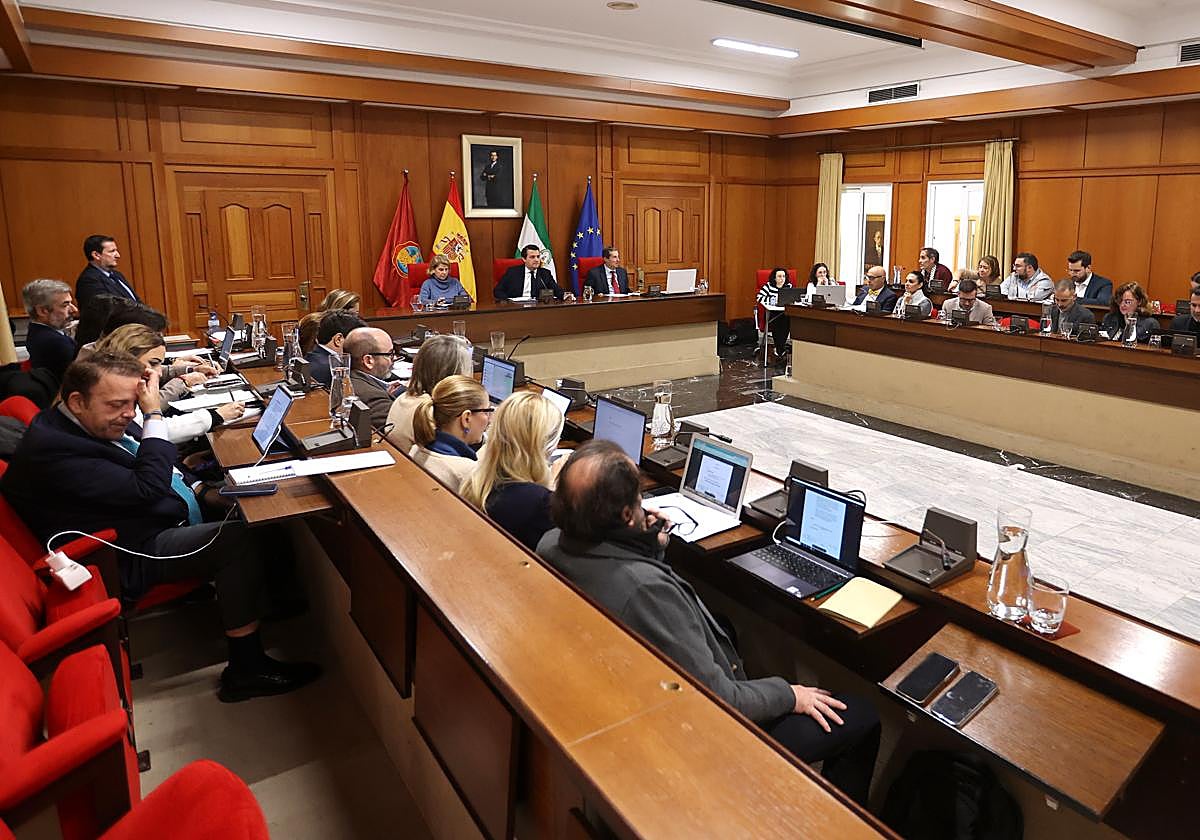 Imagen de un Pleno del Ayuntamiento de Córdoba