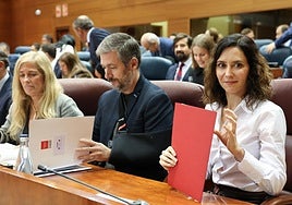 Ayuso lanza un mensaje al ministro Torres, acorralado por las mascarillas: «El de la placa tiene un ligero problemilla»