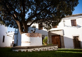 Pozoblanco será uno de los municipios del próximo Panel Ciudadano Europeo sobre preparación ante la crisis