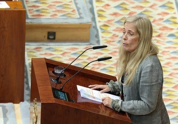 El Gobierno de Ayuso no perdonará ni un euro de los 75 millones de la deuda impagada de Madrid Network