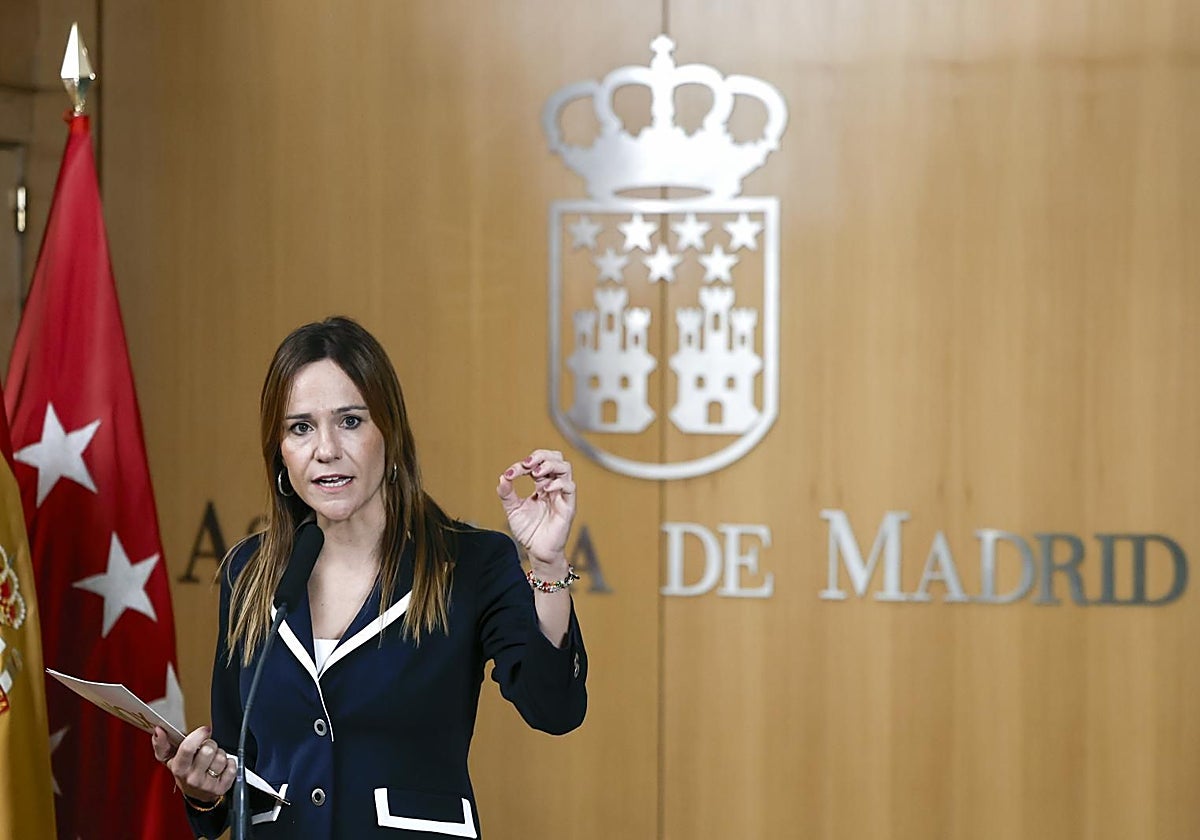 La portavoz de Vox en la Asamblea de Madrid, Isabel Pérez Moñino