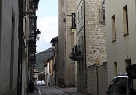 Vox presenta una declaración institucional contra la pretensión de «anexión ilegal» de Treviño