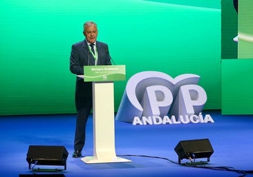José Luis Sanz arenga al PP: «Sevilla no se puede permitir que Juanma Moreno no tenga una mayoría estable»