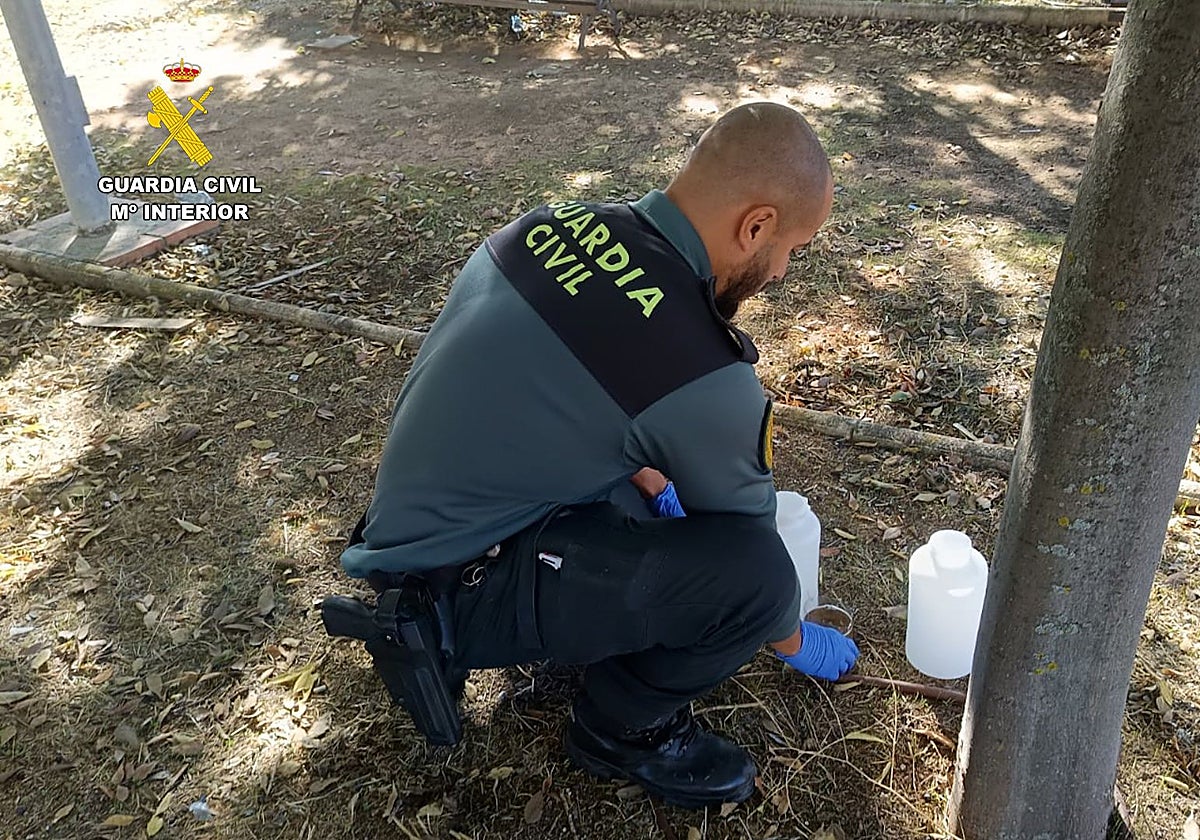 La Guardia Civil detectó dos variedades distintas de veneno en sendos cuencos con agua situado en un parque y en el patio de la vivienda del investigado